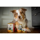 Hund Nassfutter Schäfers Pfanne 400g 6 Stück -6- Anifit